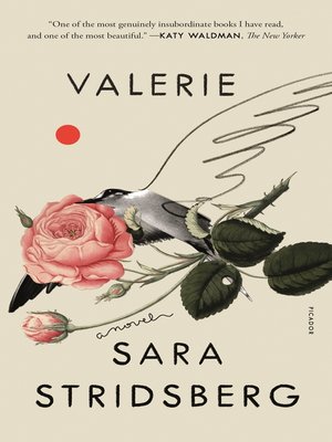 cover image of Valerie: or, The Faculty of Dreams